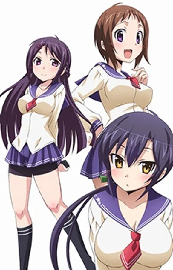 Okusama Ga Seitokaichou!+!